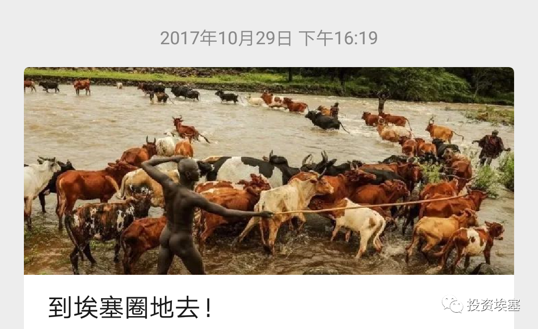 文章配图17