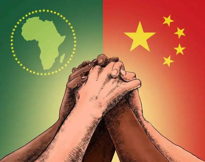 文章配图2