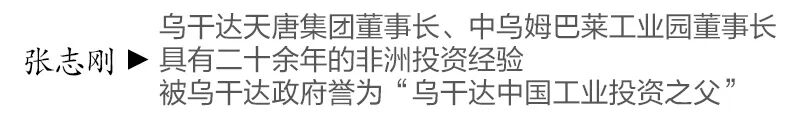 文章配图5