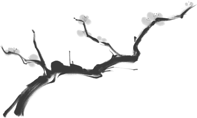 文章配图1