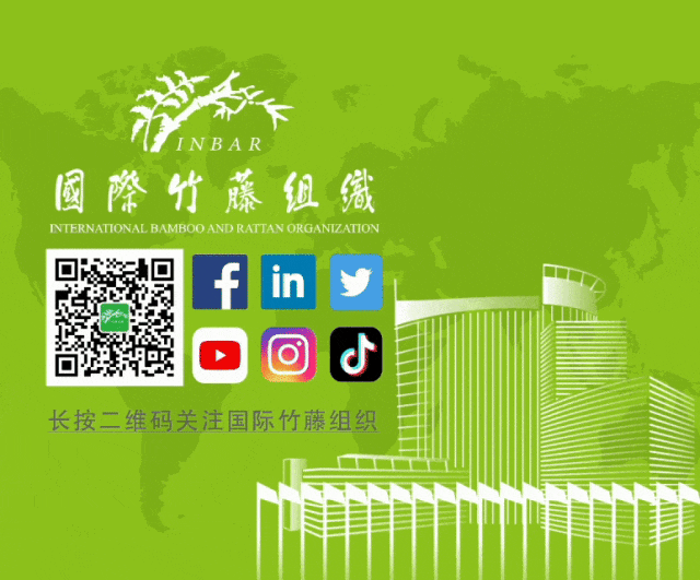 文章配图6