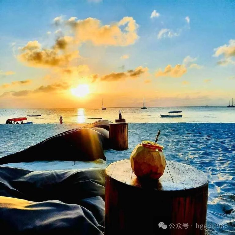 文章配图1