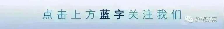 文章配图1