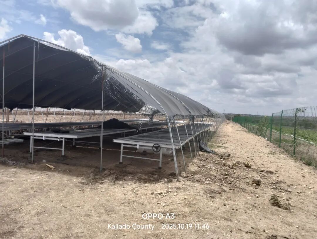 文章配图18