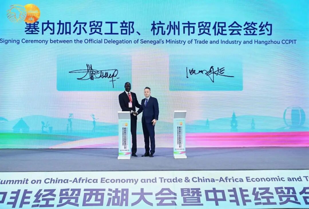 文章配图10