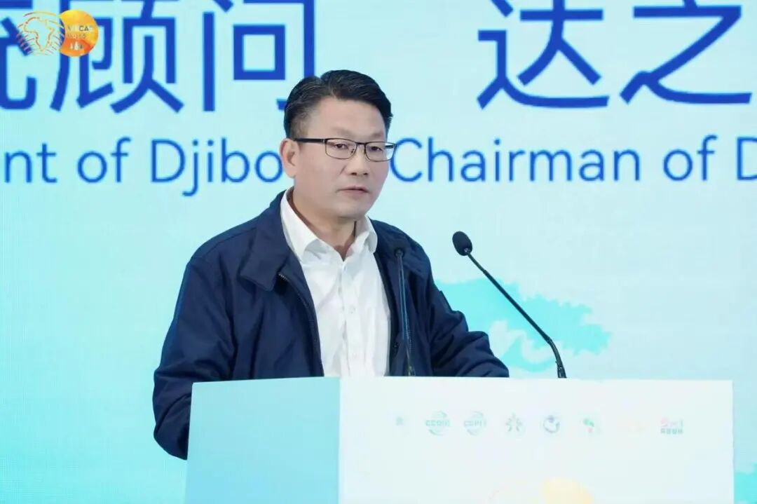 文章配图12
