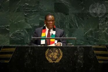 Portrait of His Excellency Emmerson Dambudzo Mnangagwa (President), Zimbabwe